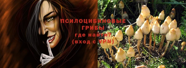 круглые Аркадак