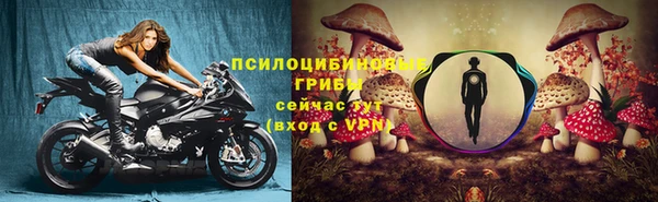круглые Аркадак
