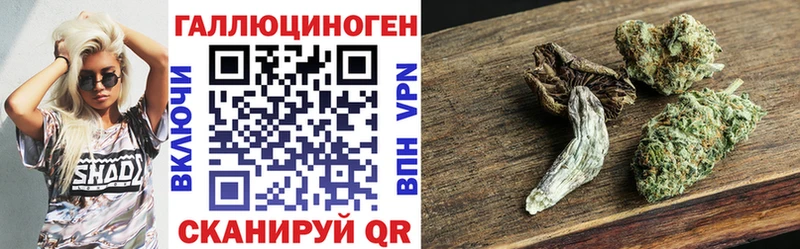 Купить  Красновишерск  Псилоцибиновые грибы Cubensis 